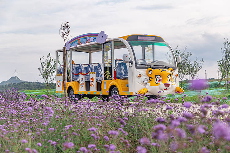 14座電動(dòng)觀光車 14座電動(dòng)觀光車