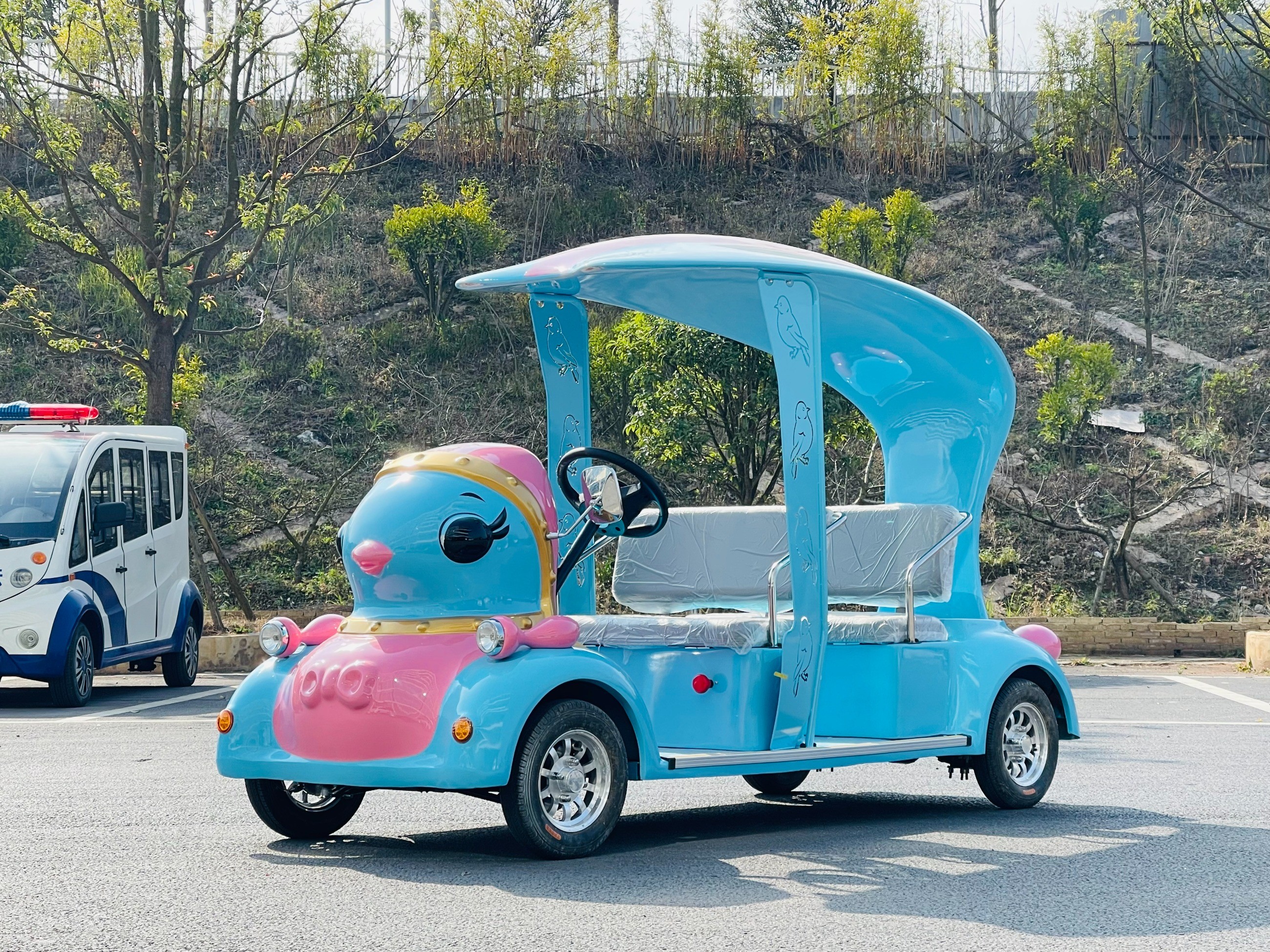 忠輝觀光車(chē)