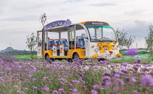 電動觀光車相對燃油觀光車來說有什么優(yōu)勢？